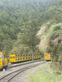 太平山蹦蹦車與古道探秘