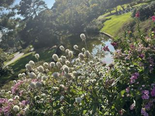 Norfolk Botanical Garden