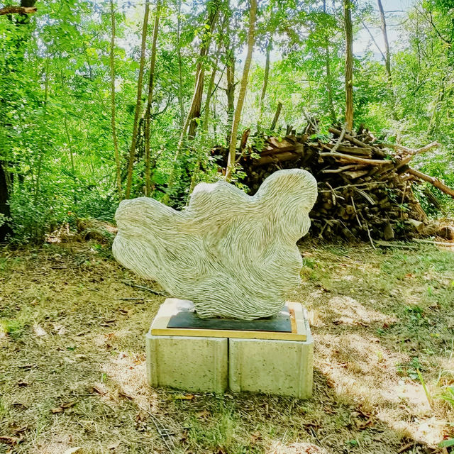 Solo in the Quiet Langhe: The Village of Sale San Giovanni