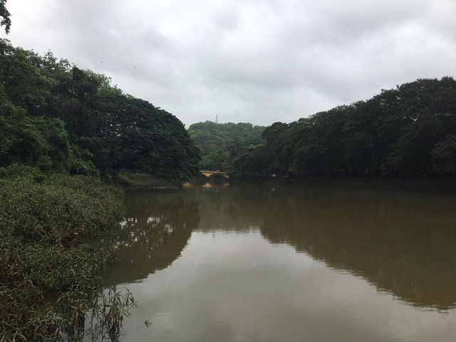 Sanjay Gandhi National Park
