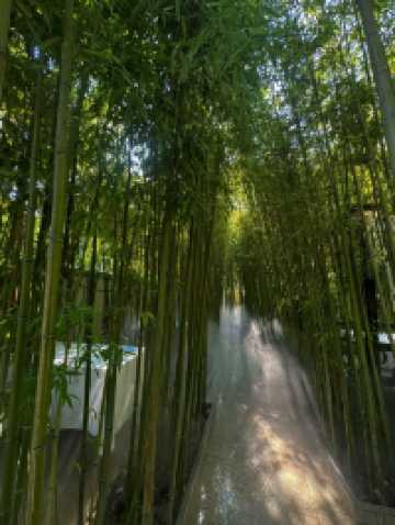 北京 酷湘•江南庭院餐廳 吃正統湘菜