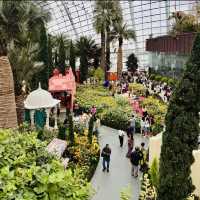 Blooming Beauty in the Flower Dome 🌸