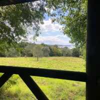 Ayrlies Garden and Wetlands