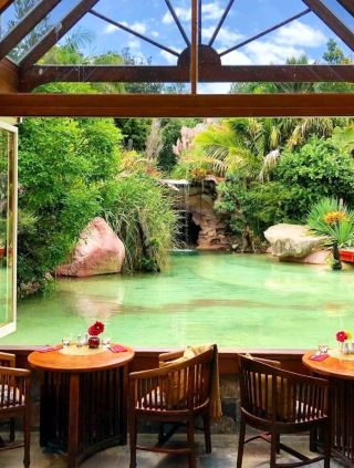 #explorenewzealand
🏔️✨ Wanaka, New Zealand – The Perfect Lake & Mountain Escape! 🇳🇿💙

Wanaka is one of New Zealand’s most scenic destinations, known for its peaceful lake views, dramatic mountains, and iconic photo spots. It’s calmer than Queenstown but equally stunning — perfect for nature lovers, families, and adventure seekers.


---

🌊 Top Things to Do

🌳 Lake Wanaka – relax by the lakeside, enjoy picnics & breathtaking views

🌳 That Wanaka Tree – the most famous lone tree photo spot in NZ

🥾 Roys Peak Hike – incredible sunrise/sunset views over the lake

🚣♂️ Kayaking & Paddleboarding – enjoy the calm, crystal-clear waters

🏔️ Mount Aspiring National Park – waterfalls, forests & scenic walks

🍷 Local Wineries – taste Central Otago’s best wines



---

📍 How to Reach

Fly into Queenstown → drive 1 hour to Wanaka

Regular buses available from Queenstown & Cromwell



---

🌤️ Best Time to Visit

Summer (Dec–Feb) – perfect for water activities

Autumn (Mar–May) – golden trees & cool weather

Winter (Jun–Aug) – skiing at Treble Cone & Cardrona



---

#Wanaka #LakeWanaka #NewZealand #RoysPeak #NZMustDo #travel #thingstodo #familytravel #couplestrip #staycation