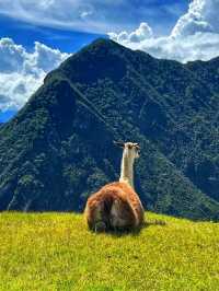 🏔️ Historic Sanctuary of Machu Picchu – The Lost City in the Clouds
