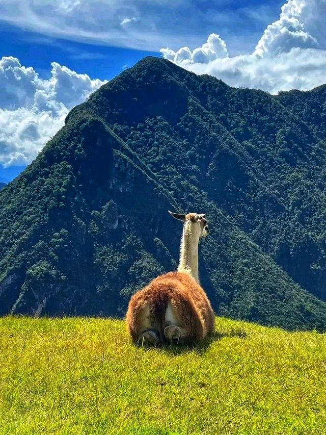 🏔️ Historic Sanctuary of Machu Picchu – The Lost City in the Clouds