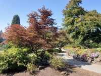 Queen Elizabeth Park