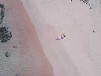 Pink Beach Paradise 🌸