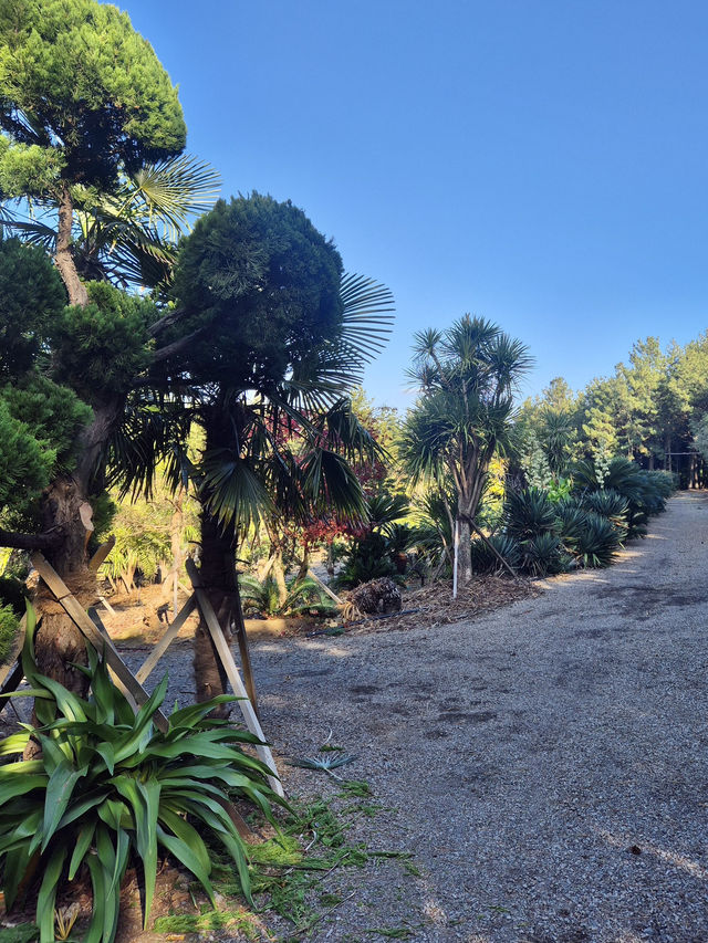 ☀️ 겨울의 제주 송악산 둘레길에서 만난 고요한 풍경 🌿