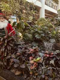 Forest Outings (포레스트 아웃팅스) – The Year-Round Escape