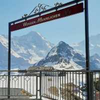 Ski Dreams Maidstone⛷️