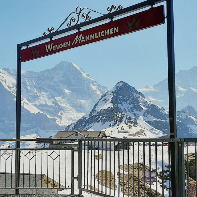 Ski Dreams Maidstone⛷️ Ski Dreams Maidstone⛷️