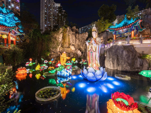 Whispers of Light at the Whispering Bamboo Whispers of Light at the Whispering Bamboo