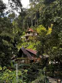 The best time to visit Mae Kampong Village is during the cool and dry seaso