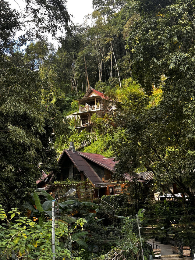 The best time to visit Mae Kampong Village is during the cool and dry seaso The best time to visit Mae Kampong Village is during the cool and dry seaso