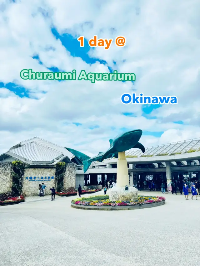 ไฮไลท์ Okinawa พิพิธภัณฑ์สัตว์น้ำขนาดใหญ่ Churaumi