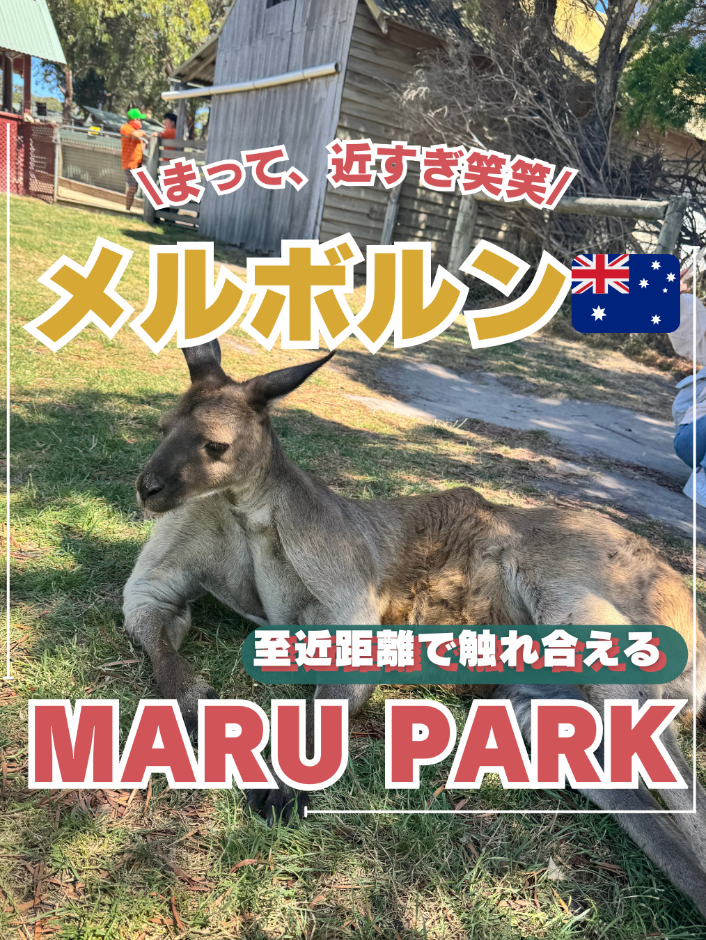 メルボルン　超至近距離で動物と触れ合える！