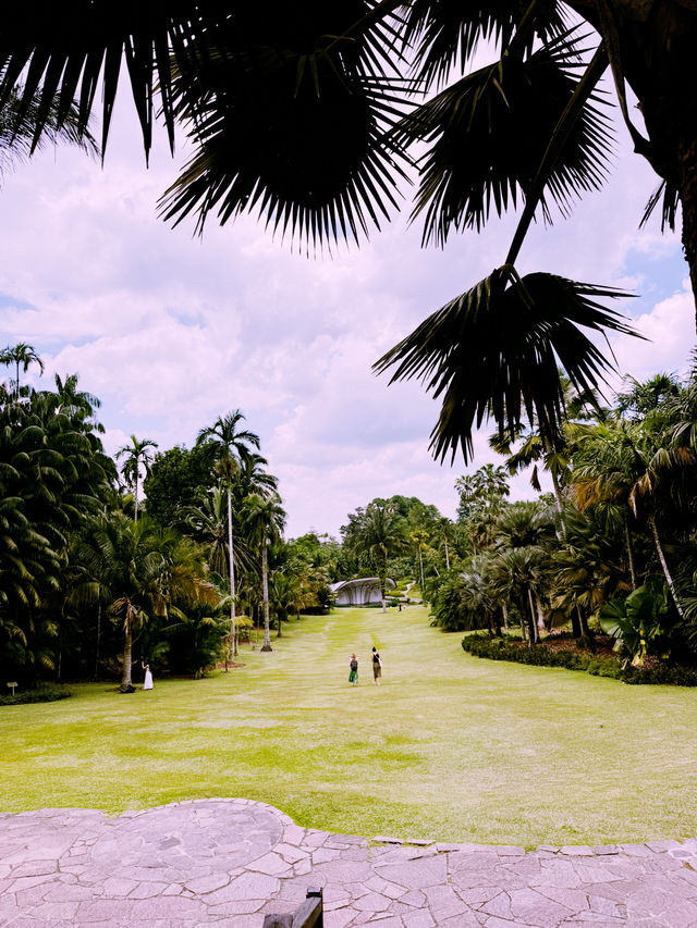 Pro-Tips for Your Botanical Expedition Pro-Tips for Your Botanical Expedition