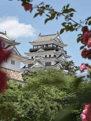 【日本】日本のお城撮影ガイド🏯