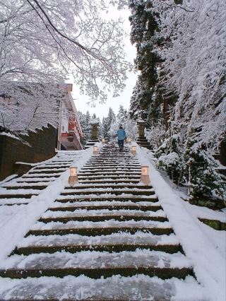Sharing a Plan to Rediscover Niigata, a Charming Small City.