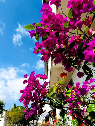 🏮 Zhuge Bagua Village | A Living Legacy of Zhuge Liang