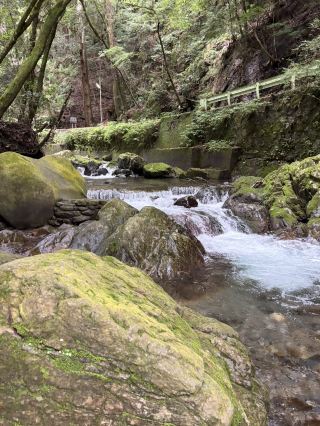 [Okazaki] Find Healing in Seasonal Nature! A Breathtaking Gorge for River Activities and Autumn Foliage.
