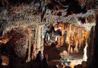 Hams’ Caves in Mallorca The Wildest Underground Adventure 🦇✨