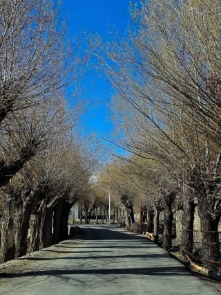  蘇魯谷地 – 拉達克隱藏的綠色天堂 
