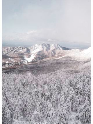 🏔️❄️ Zao Snow Monsters — เมื่อหิมะเปลี่ยนต้นไม้ให้กลายเป็นสัตว์ประหลาด!

ถ้าเห็นครั้งแรกอาจคิดว่า…

👀 “นี่ต้นไม้จริงเหรอ?”

แต่สิ่งที่เห็นตรงหน้าคือ Juhyo (樹氷) หรือ “Snow Monster” แห่ง Zao Onsen 🇯🇵

ช่วงฤดูหนาว หิมะและน้ำแข็งเกาะตามต้นสนจนกลายเป็นรูปร่างแปลกตา ปกคลุมภูเขาจนเหมือนกองทัพสัตว์ประหลาดสีขาวยืนเรียงรายอยู่บนภูเขา ☃️👹

🚠 วิธีขึ้นชมง่ายที่สุด
นั่งกระเช้าขึ้นไปยังบริเวณยอดเขา แล้วออกไปชม Snow Monsters ท่ามกลางหิมะ

✨ ช่วงกลางวัน ได้เห็นรายละเอียดของต้นไม้และวิวภูเขา
🌙 ช่วงกลางคืน จะมีการเปิดไฟ ทำให้ Snow Monsters เปลี่ยนเป็นอีกบรรยากาศหนึ่ง

❄️ และนี่คือเหตุผลที่หลายคนยอมเดินทางมาถึง Yamagata ในฤดูหนาว

เพราะไม่ได้มาแค่ “ดูหิมะ”

แต่มาดู…

ต้นไม้ที่กลายเป็นสัตว์ประหลาด! 👹❄️

📌 ใครมีแพลนเที่ยว Tohoku ช่วงหน้าหนาว เซฟ Zao Snow Monsters ไว้เลย

#zaosnowmonsters #zaoonsen #yamagata #tohoku #japanwinter
#เที่ยวญี่ปุ่นหน้าหนาวว #เที่ยวญี่ปุ่น #snowmonster #visitjapan