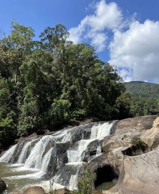 エンダウ・ロンピン：マレーシア最古の熱帯雨林で味わう、手つかずの自然への旅