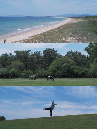 海中道海濱公園小貼士