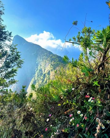 ​"Discovering hidden gems like Tiger Rock and breathtaking alpine peaks above the clouds! 🐅⛰️​
