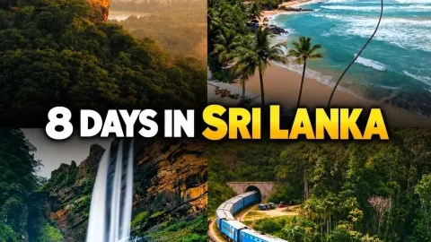 Ultimate 8-Day Sri Lanka Itinerary 🇱🇰✨ — traveler post in Ella