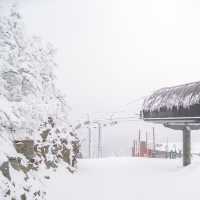 Killington Peak @ Killington Resort