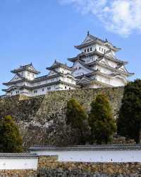former grounds of Nagoya castles