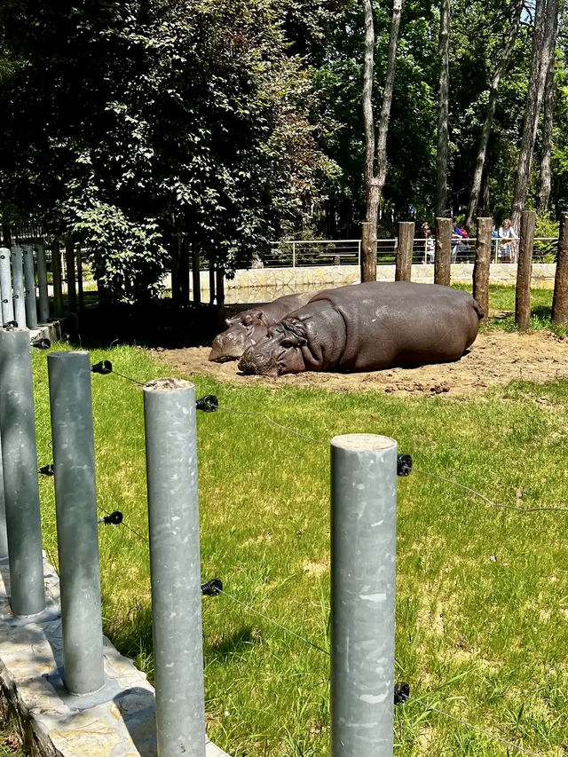 Debrecen Zoo & amusement park