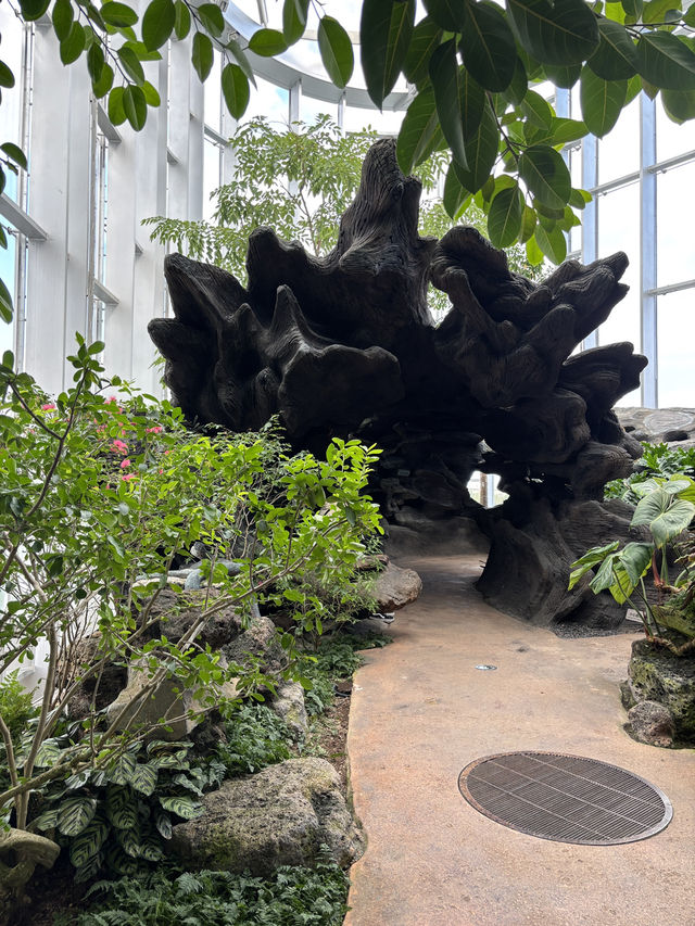 Shanghai Greenhouse Garden
