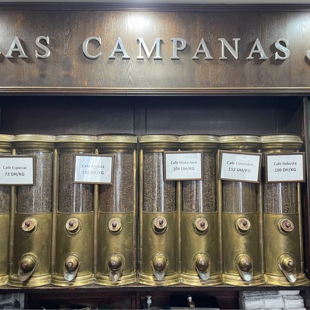 매력적인 북아프리카 도시, 모로코🇲🇦 탕헤르 여행!