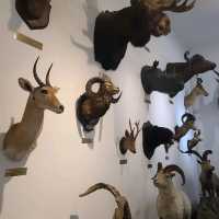 Hisory Museum