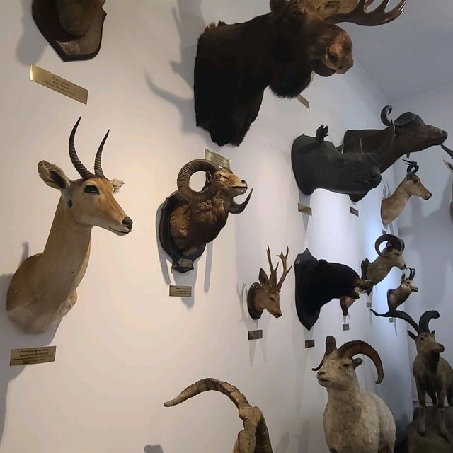 Hisory Museum
