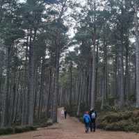 เที่ยว Highland แดนสก็อตที่ Loch an Eilein