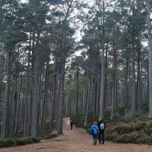 เที่ยว Highland แดนสก็อตที่ Loch an Eilein
