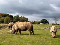 Whipsnade Zoo 🐘