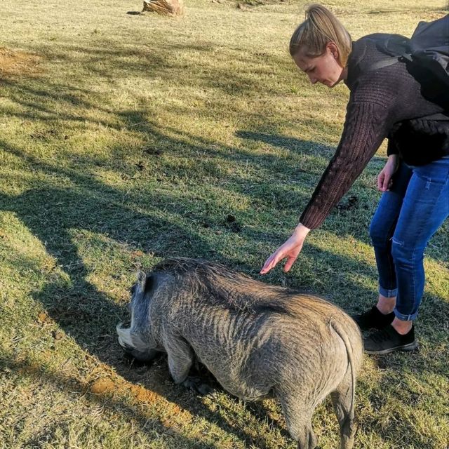 Adventure at a Nature Reserve 🇿🇦