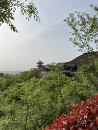 Kyoto｜ Kiyomizu-dera, the must visit temple in Koyto