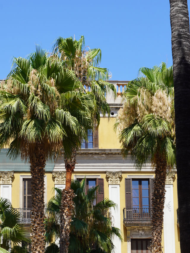 Plaça Reial: The Beating Heart of Barcelona’s Social Scene