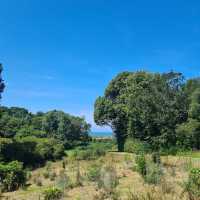 National Trust - Sheringham Park 🗺️