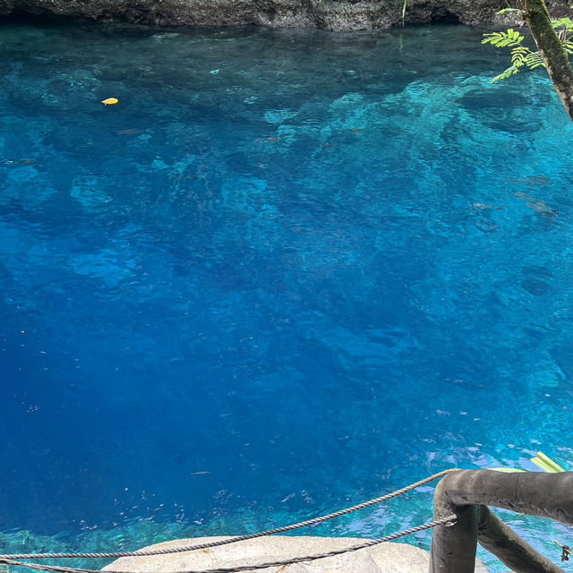 Enchanted River