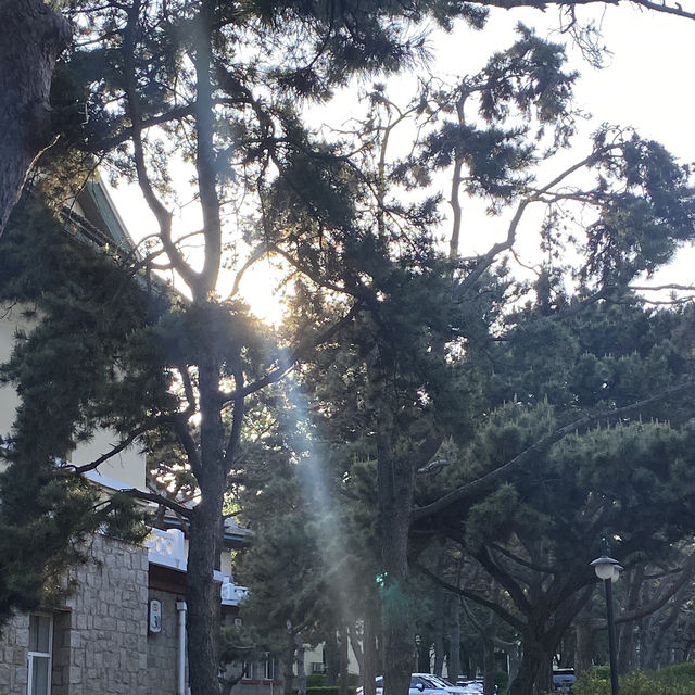 Qinhuangdao 2 Days Travel Guide 