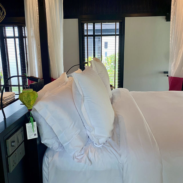 Snap-Worthy Stay 🤳🌴☀️